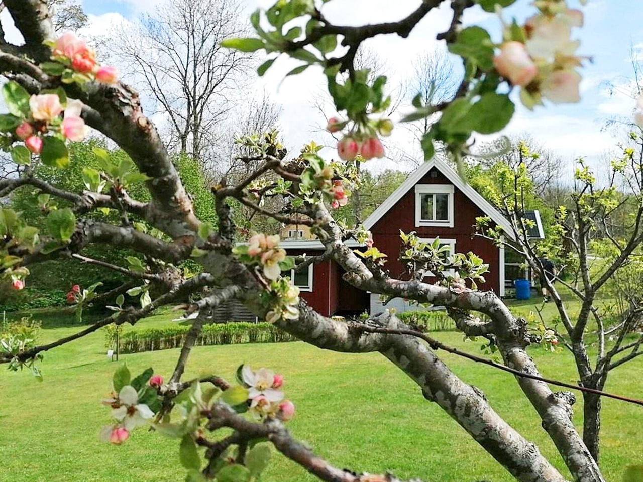 4 personer fritidhus i Holmsjö in Svenska Östersjön