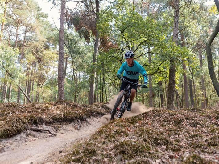 Ruhige Auszeit für zwei in Drenthe in Drenthe
