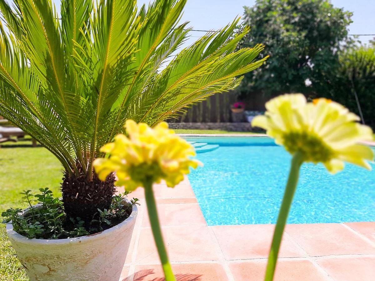 Casa Jazmín in Arriate, Provincia de Málaga