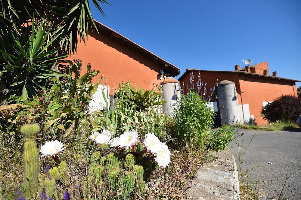 Bracciano Lake Farmhouse - Room Malva in Anguillara Sabazia, Lac de Bracciano