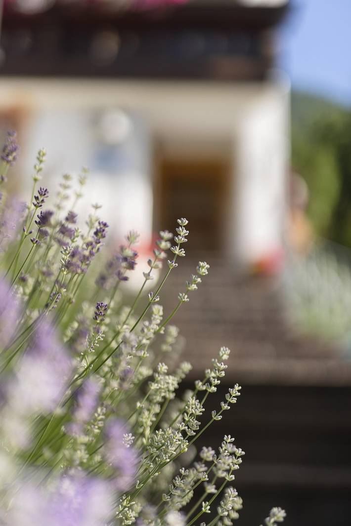Ferienhaus für 2 Personen, mit Balkon und Ausblick, kinderfreundlich in Innsbruck und Umgebung - 2