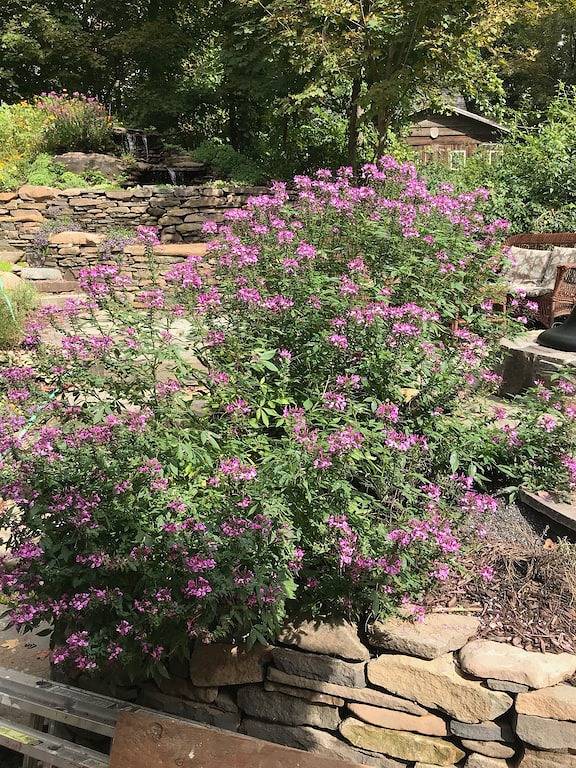 Cabin for 6 Guests in Woodstock, Catskill Mountains