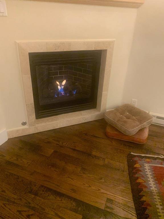 Ganze Wohnung, Extra Large Cozy 1 Br, chairlift just outside, ski in, fireplace, hardwood floor in Telluride, Telluride Ski Resort