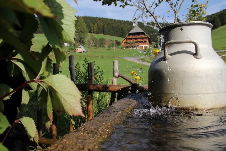 Ferienwohnung für 5 Personen, mit Terrasse, mit Haustier - 1