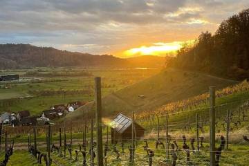 Ferienwohnung für 6 Personen in Ohlsbach