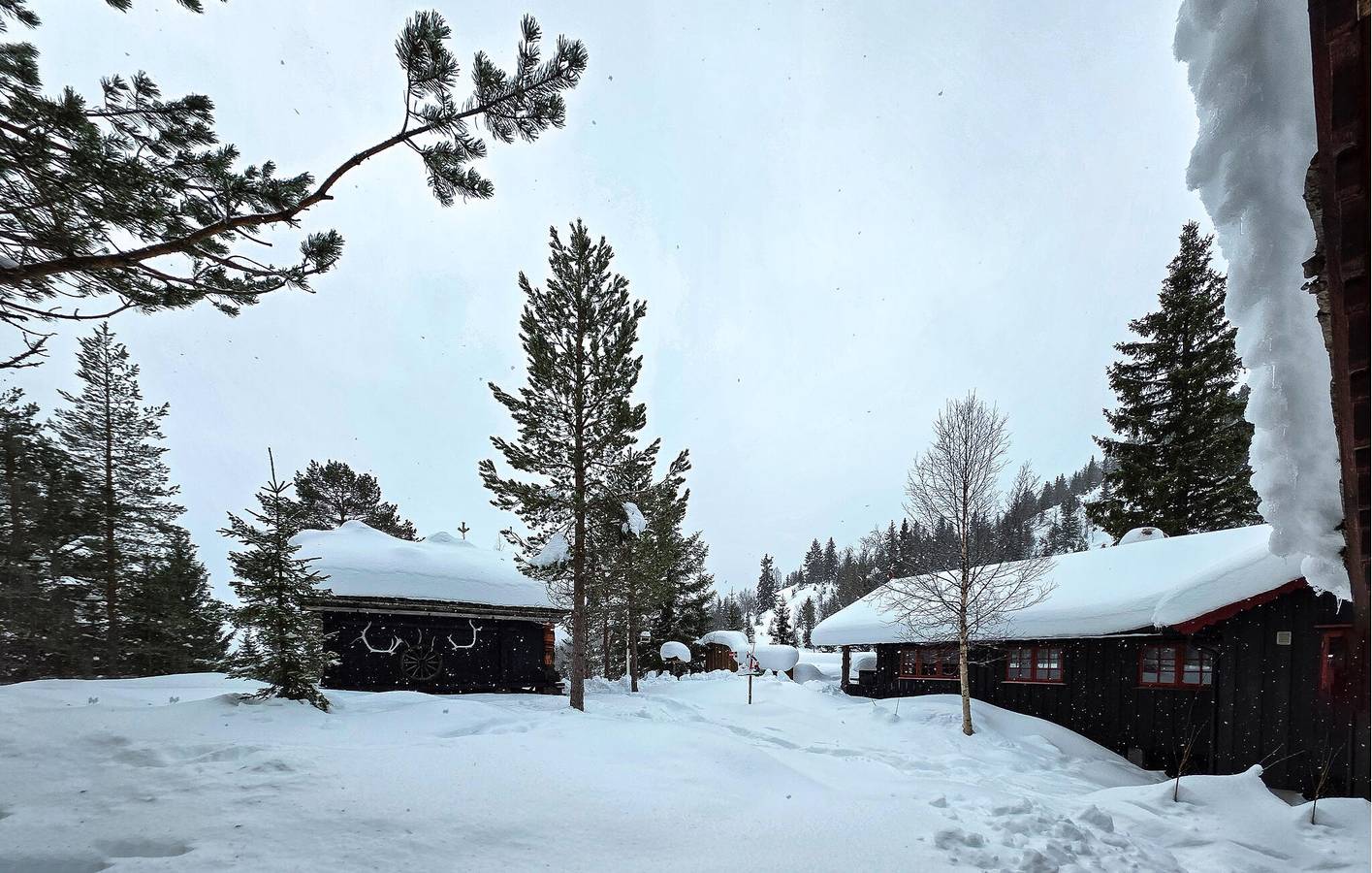 Ferienhaus für 7 Personen mit Terrasse in Seljord