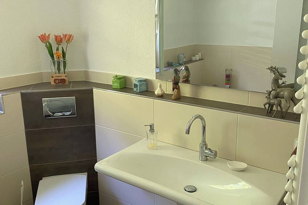 Ganze Wohnung, Modernes Apartment in Traumlage in Lautenthal, Langelsheim