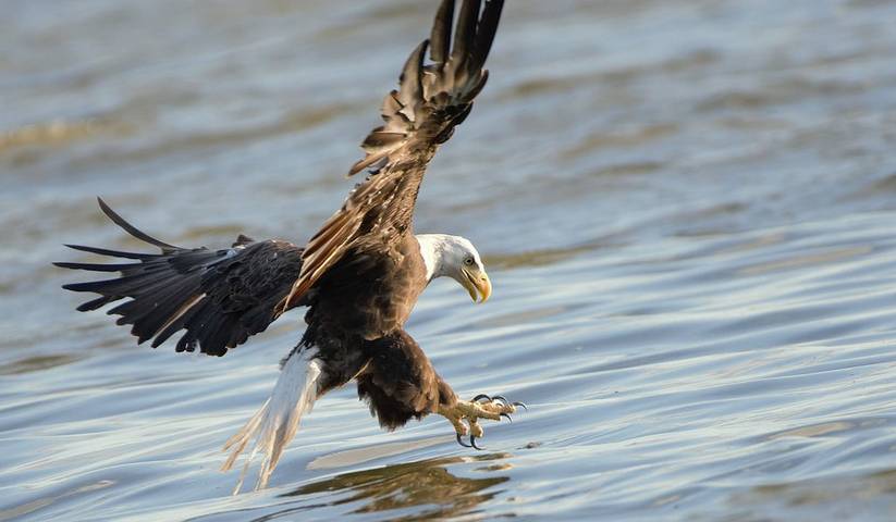 Explore the bayous of South Louisiana on your own! -Ask about 4dy Special!- in Assumption Parish
