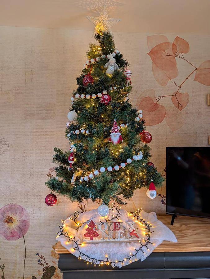 Location de vacances pour 7 personnes, avec vue et jardin à Réguiny - 3