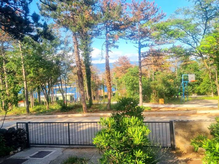 Appartement de vacances pour 4 personnes, avec jardin - 1