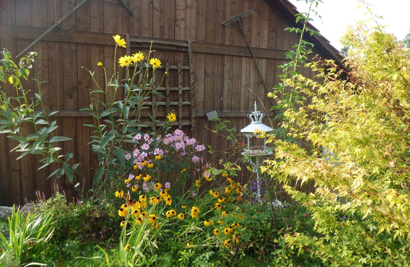 Ganze Ferienwohnung, Studio - Le Râtelier - Studio (1-3 Pers.) in Kanton Jura