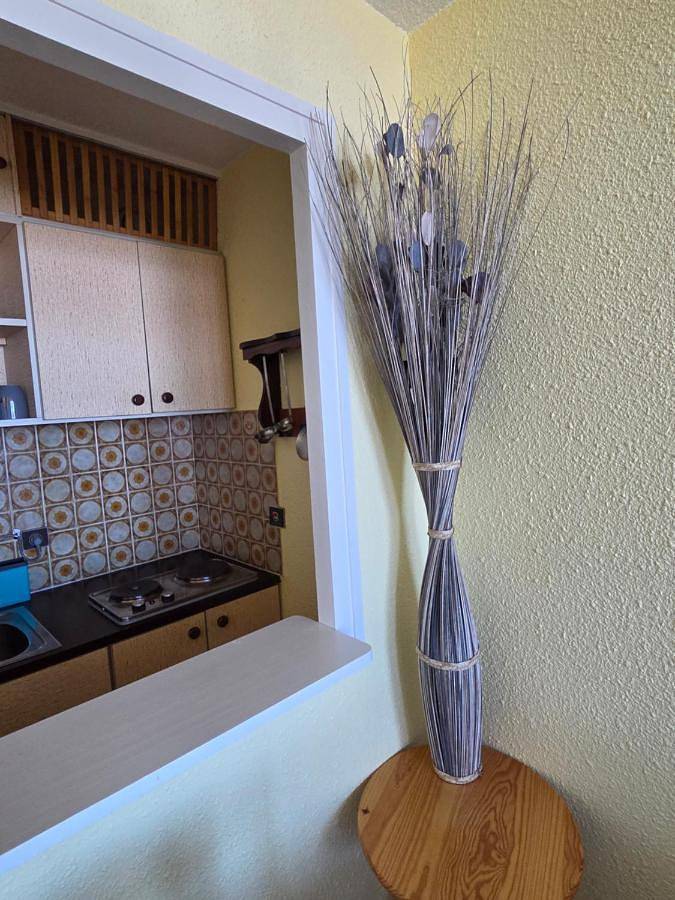 Gîte pour 4 personnes, avec Terrasse et Vue à Saint-Honoré - 2