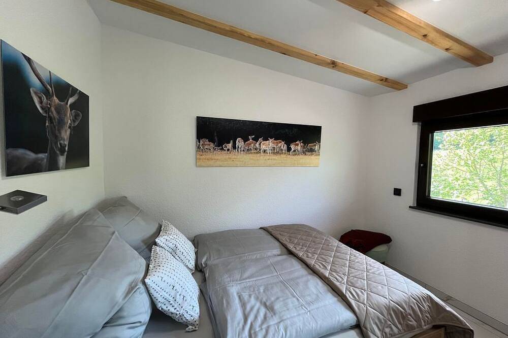 Ganze Wohnung, Hirschraum - Appartement/Fewo, Bad, Wc in Wadern, Saar-Nahe-Bergland