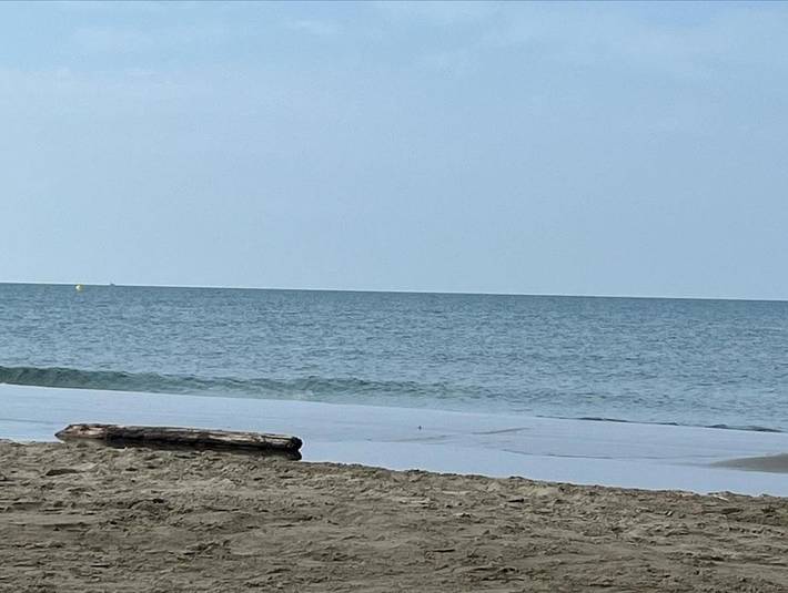 Camping pour 5 personnes, avec terrasse et piscine dans Plage de l'Espiguette - 3