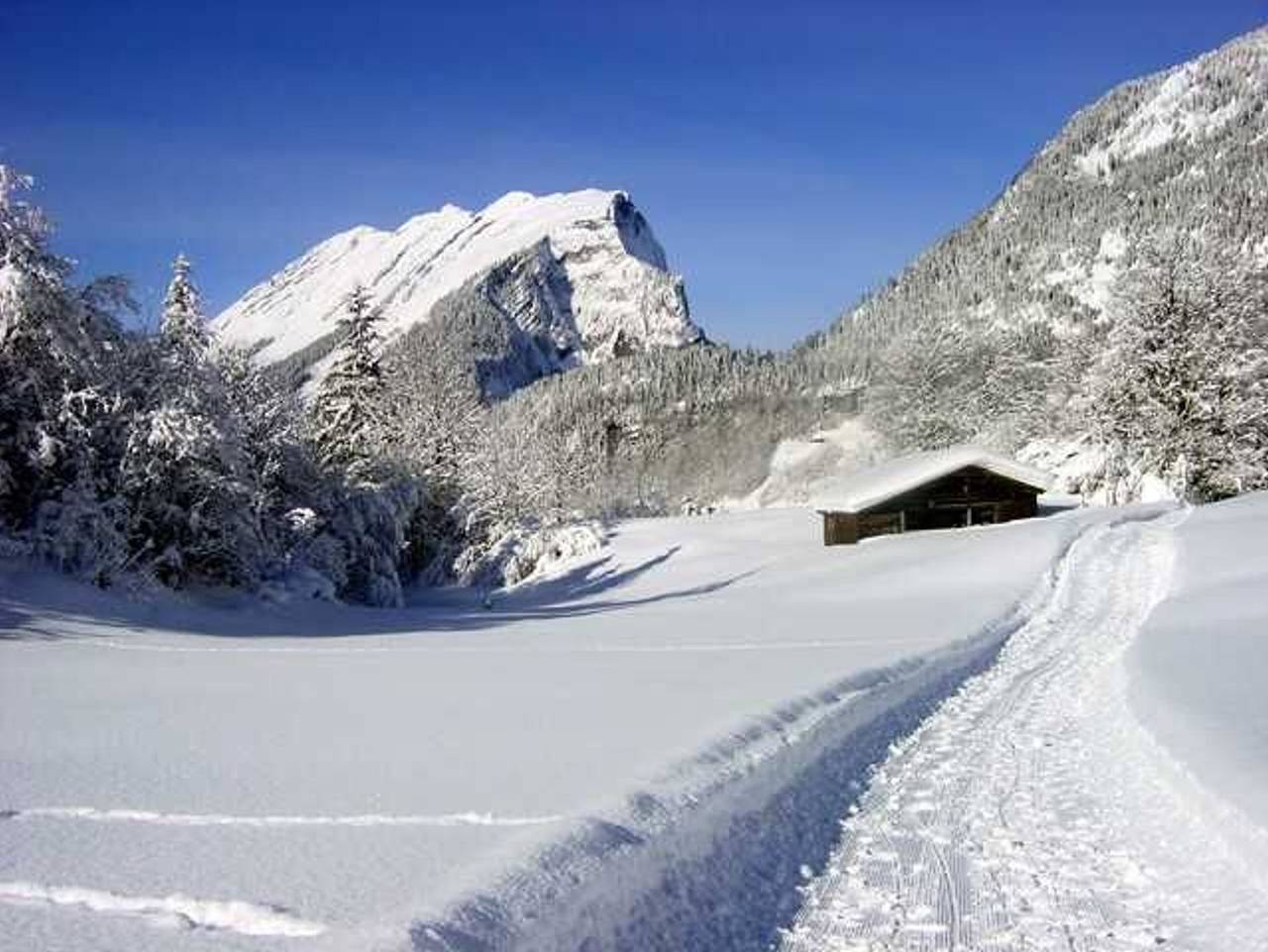 N Apartments Hotel **** - Ferienwohnung Diedamskopf in Schoppernau, Bregenzerwald