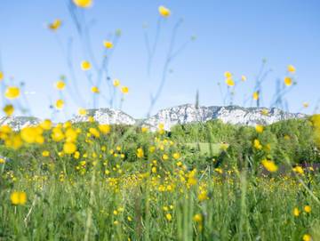 Ferienwohnung für 2 Personen in Steinbach am Attersee, Attersee, Bild 2