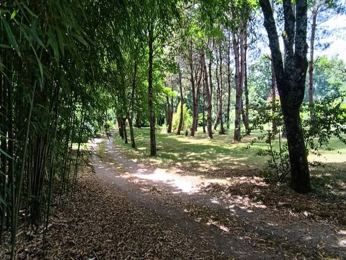 Gîte pour 10 personnes, avec jardin, adapté aux familles dans Rives-de-l'Yon - 3
