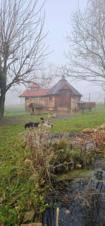 Gîte pour 2 personnes, animaux acceptés dans Azerailles