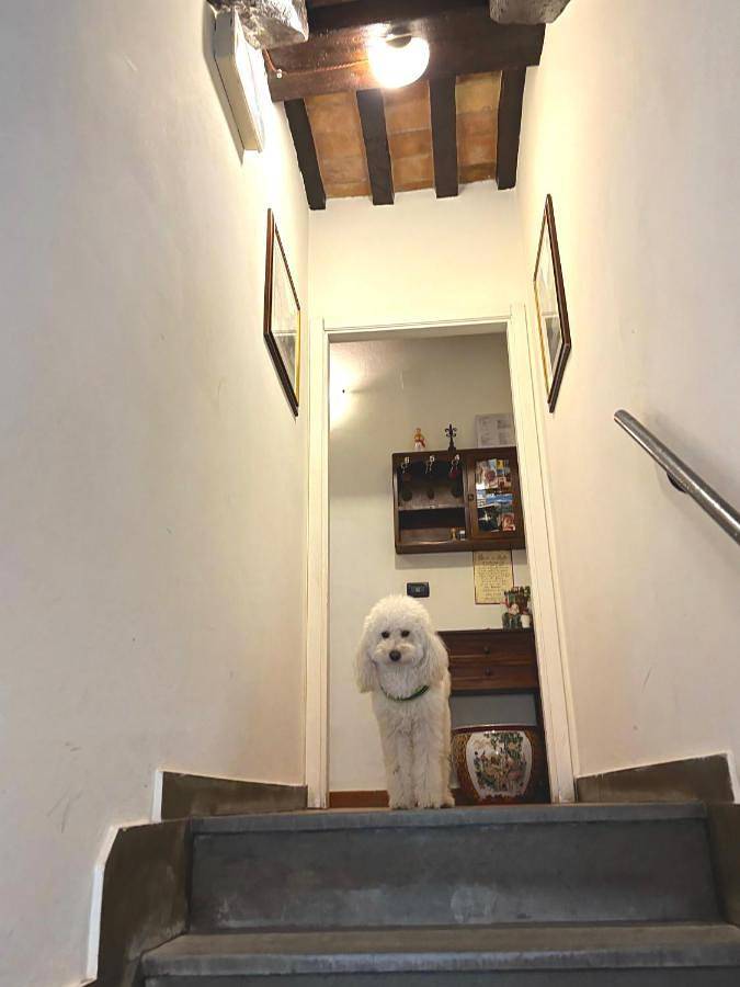 Residenza Le Logge in Gubbio, Umbria