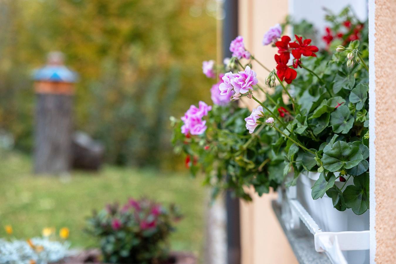 Apartamento entero, Pensión 'Schmidt' con vistas al lago, terraza privada y wifi in Bad Brambach, Chemnitz (region)