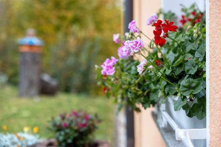 Ferienwohnung für 5 Personen, mit Seeblick, mit Haustier im Vogtland - 2