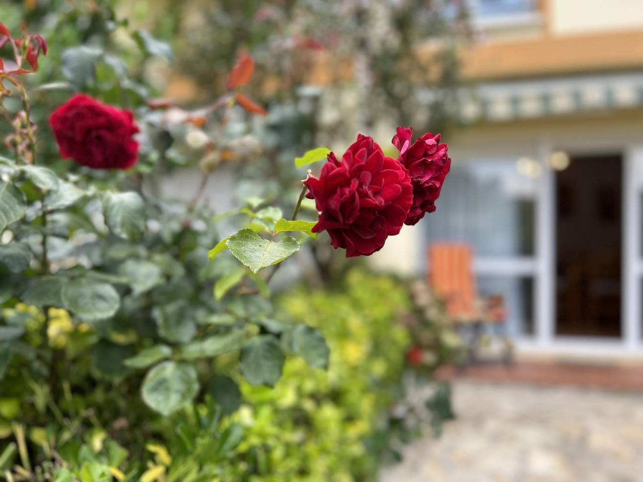 Ganze Ferienwohnung, Semi-detached house in Argoños in Argoños, Kantabrische Küste