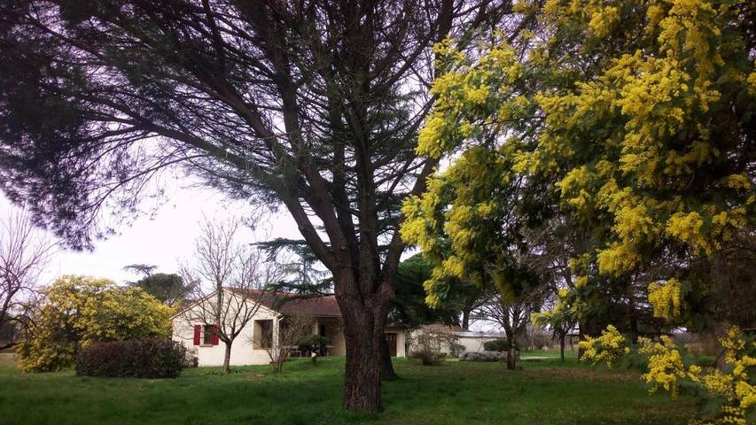 Location de vacances pour 6 personnes, avec vue ainsi que jardin et terrasse à Brens - 3