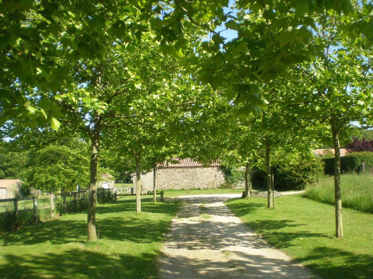 Chambres d'hôtes La Pinière - Gerboise in Talmont-Saint-Hilaire, Vendée