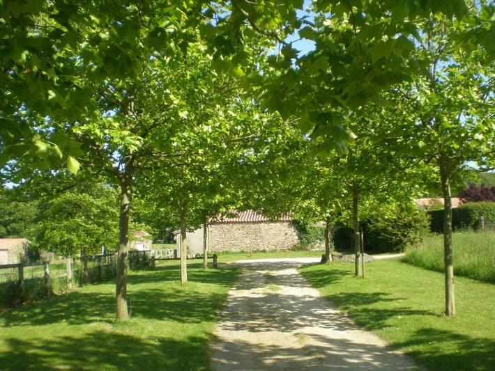 Chambre d’hôte pour 2 personnes, avec jardin dans les Pays de la Loire - 2