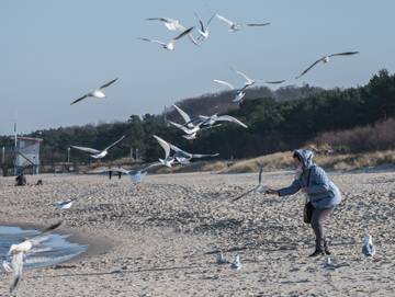 Ferienwohnung für 2 Personen in Zinnowitz, Usedom, Bild 2