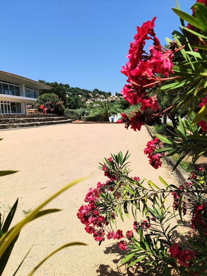 Camping pour 4 personnes, avec terrasse et piscine à La Croix-Valmer - 3
