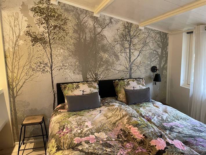 Luxuriöses Ferienhaus für 2 Personen mit Außen Spa und schöner Veranda in Erica, Drenthe in Drenthe