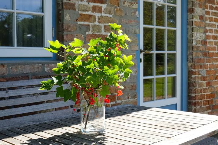 Ferienhaus für 2 Personen, mit Terrasse und Garten in Gelting - 2