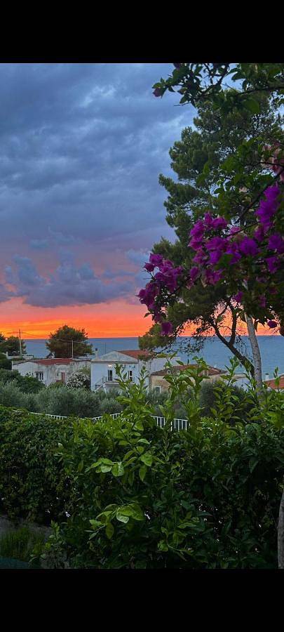 Location de vacances pour 3 personnes, avec Balcon et Terrasse ainsi que Jardin et Vue à Vico del Gargano - 3