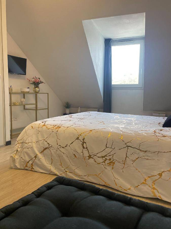 Appartement entier, [Rêve doré] Studio Équipé, Wifi, Unique in Lourdes, Hautes-Pyrénées