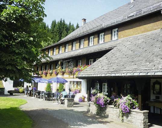 Hotel Zum Löwen - Unteres Wirtshaus - Ferienwohnung Typ B, 40 qm, 2 Schlafzimmer, max. 5 Personen in Langenordnach (Titisee-Neustadt), Titisee-Neustadt