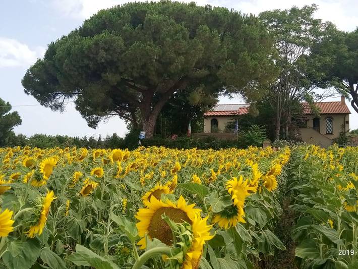 Ganze Wohnung, Komfortables Studio für 2 Personen in Campiglia Marittima, Etruskische Küste