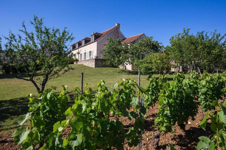 Location de vacances pour 10 personnes, avec piscine et vue ainsi que sauna et jardin, animaux acceptés à Meursault - 4