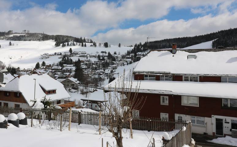 Gîte pour 6 personnes dans Todtnauberg (Todtnau) - 2
