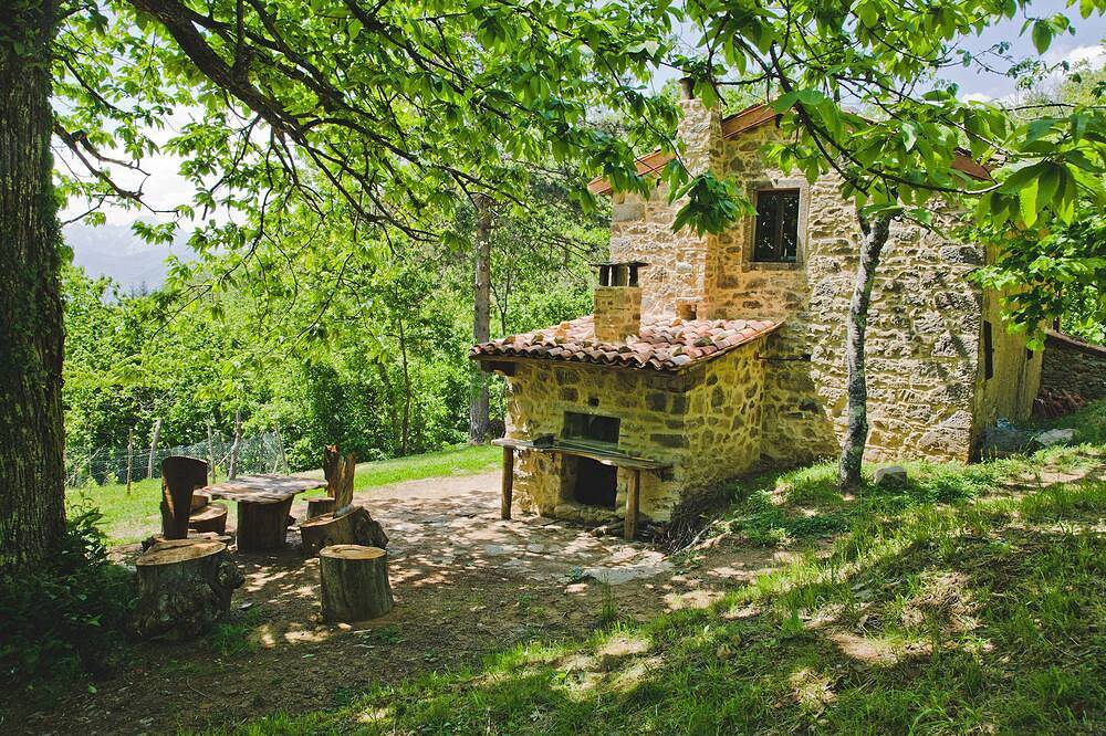 Cottage im alten Kastanienhain in Castiglione di Garfagnana, Garfagnana