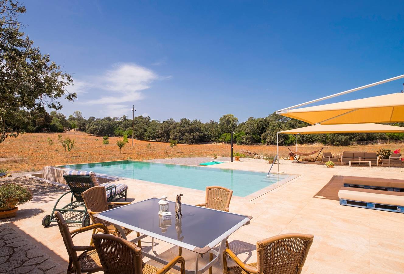 Villa met stenen gevel en zwembad - Villa Erdei de Buteasa y Preluca, foto 12