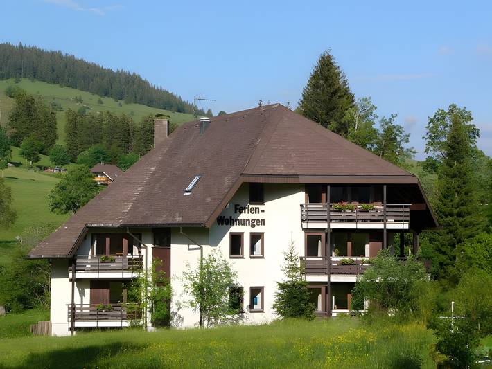 Ferienwohnung für 4 Personen, mit Sauna und Garten in Suedlicher Schwarzwald - 3