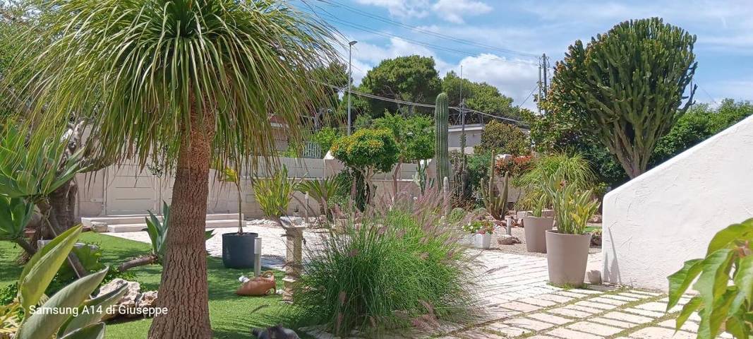 Ferienhaus für 6 Personen, mit Ausblick und Garten, mit Haustier in Lido Specchiolla - 4