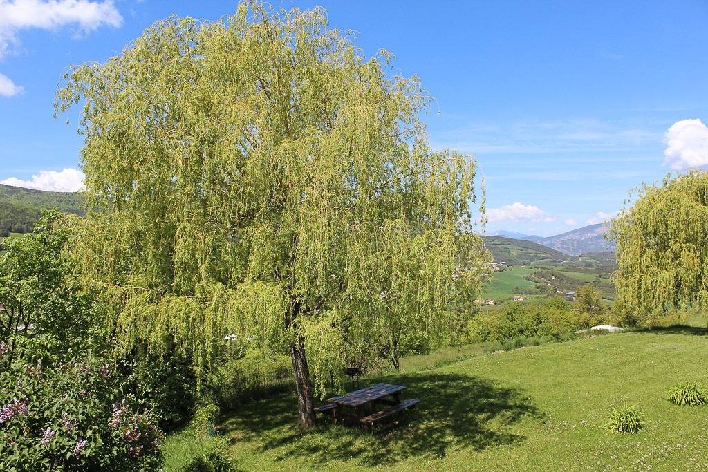 Le Morgon in Saint-Vincent-les-Forts, Région de Barcelonnette