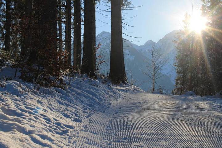 Ferienwohnung für 3 Personen, mit Ausblick und Pool sowie Garten in Sankt Johann im Pongau - 4