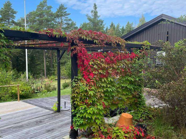 4 stjarniga stuga i Grisslehamn in Stockholm region