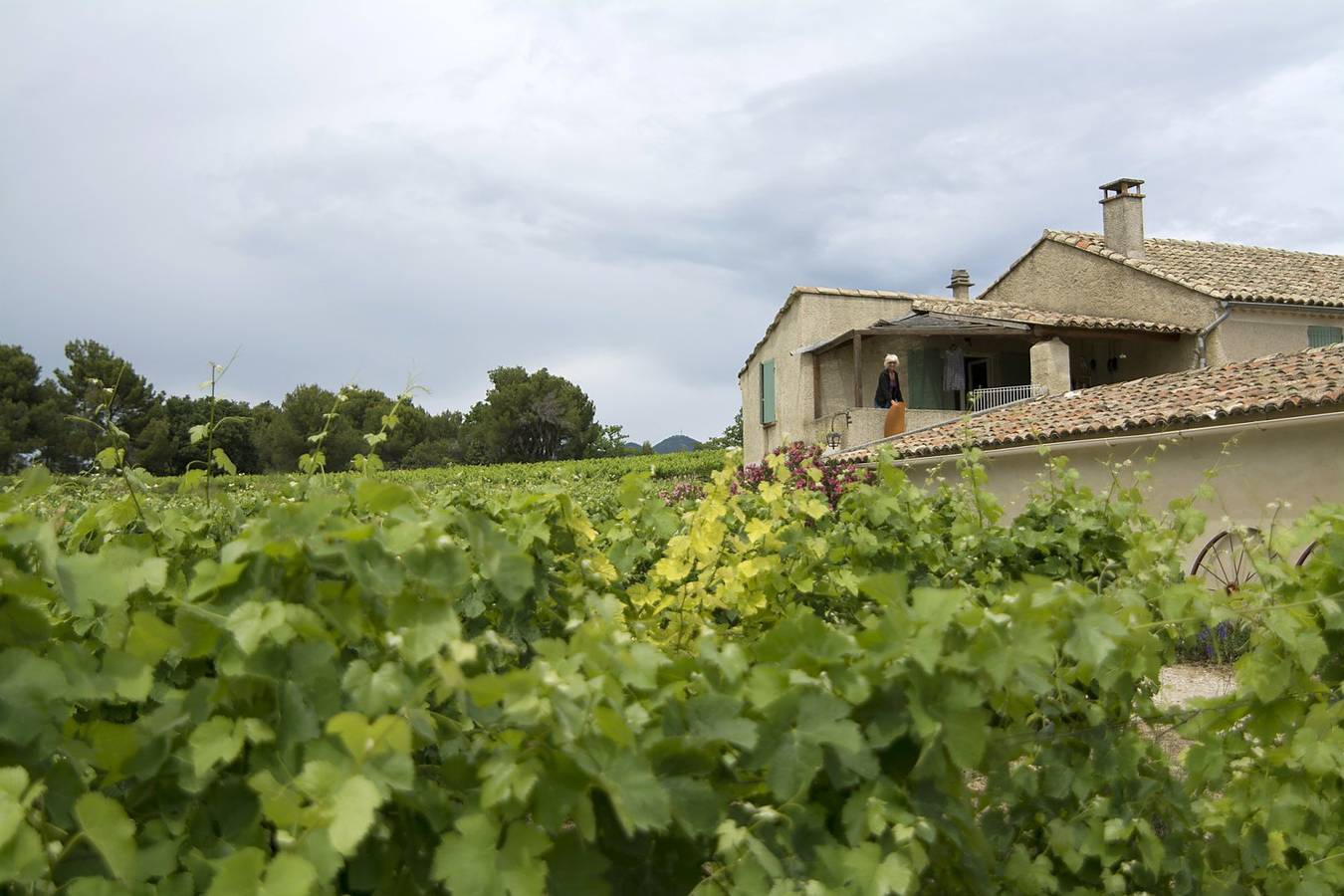 Gîte Provence, calme, proche de Vaison-la-Romaine in Puyméras, Parc naturel régional du Mont-Ventoux