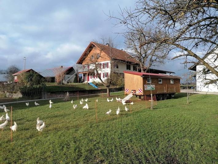Ferienwohnung für 5 Personen, mit Terrasse und Garten sowie Ausblick in Grünkraut - 3