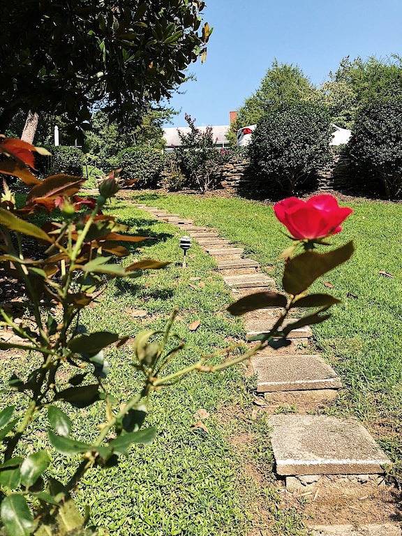 Cottage für 3 Personen, mit Terrasse und Garten - 1