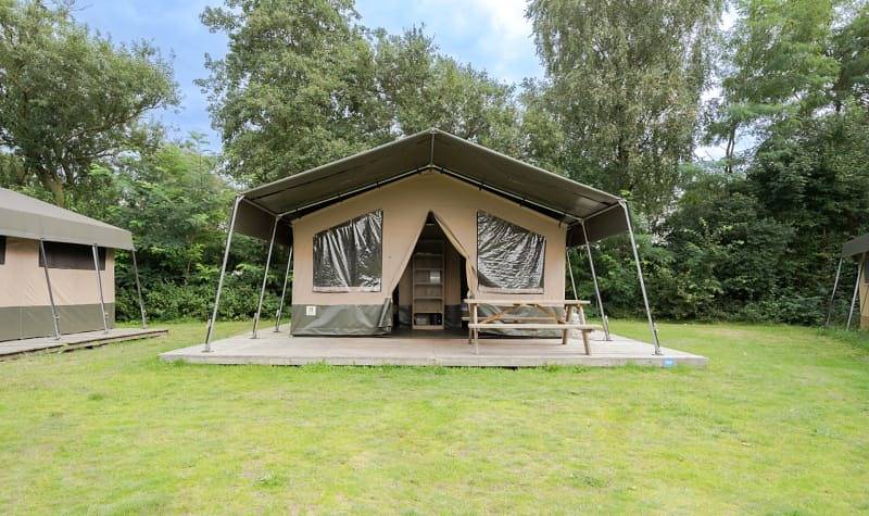 Tent voor 6 personen met terras in Veluwe